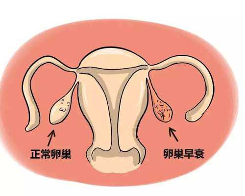 南京助孕代怀,关于南京供卵价格（北京供卵试管机构）-供卵试管中介哪家好