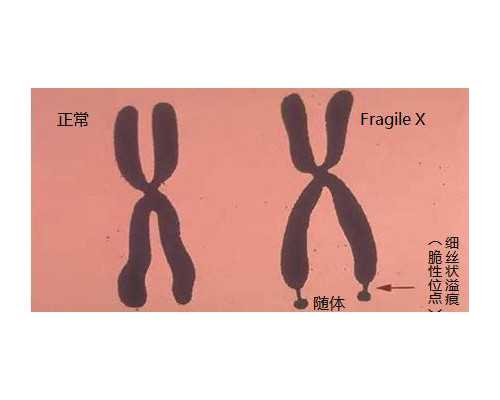 南通居住证的办理流程,南通正规私立试管医院整理