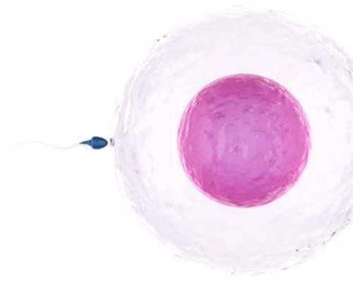 南京代怀保密咨询,结扎了做复通手术好还是做试管婴儿好_南京公立医院供卵