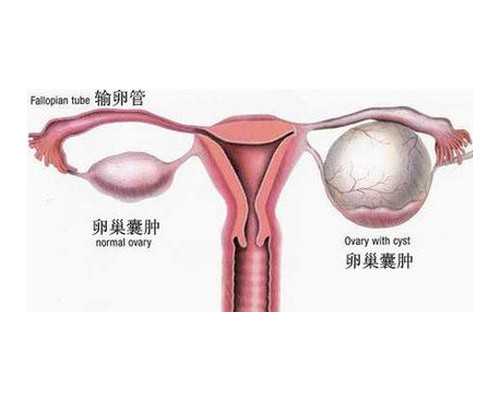 南通植发哪家医院好？南通鹏程医院口碑测评+植发价格