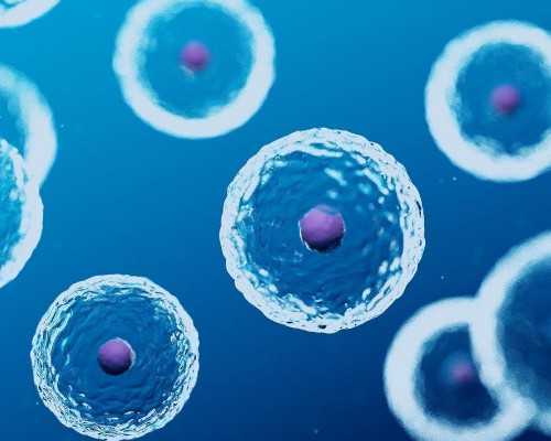 2023江苏唐筛检查要多少钱,江苏做一次人工受孕多少钱