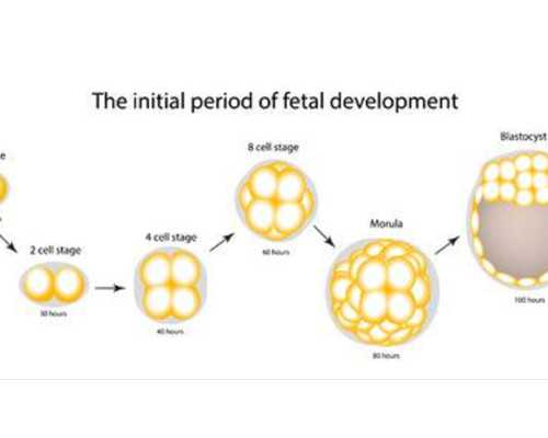 南京代孕最靠谱公司,我想问一下谁知道毓璜顶医院做试管婴儿需多少钱呀_南京