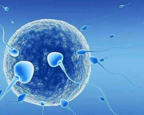 南京代怀生男孩,2024北京306医院试管成功率预估[北京306医院生殖科医生介绍]-南