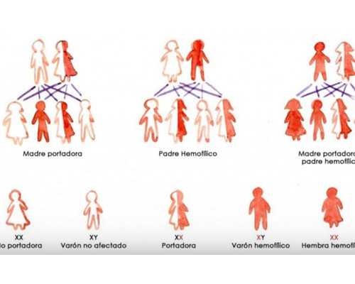 南京代孕网页,试管婴儿自然周期需要打降调吗_南京供卵医院怎么样-试管人工周