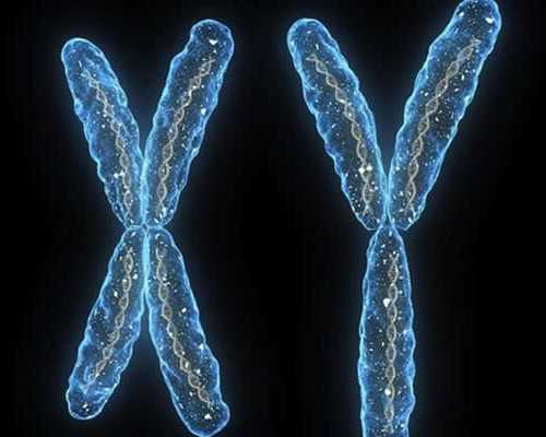 (泰国助孕费用)泰国取卵多少钱啊