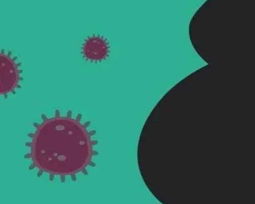 南京去试管代怀经历,北京哪家医院能做试管婴儿移植术？_南京供卵医院成功率