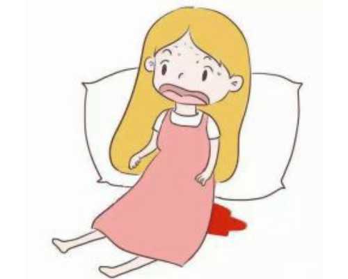 苏州代孕网价格表,苏州试管比较多花多少钱_苏州试管比较多花多少钱一次