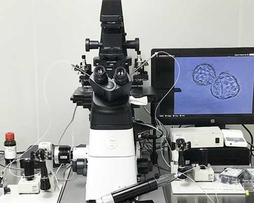 生龙凤胎的方法（介绍双胞胎的形成与养育）