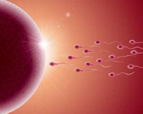 江苏生育津贴领取条件,江苏做试管婴儿需要带什么证件